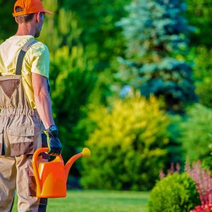 SiteOne