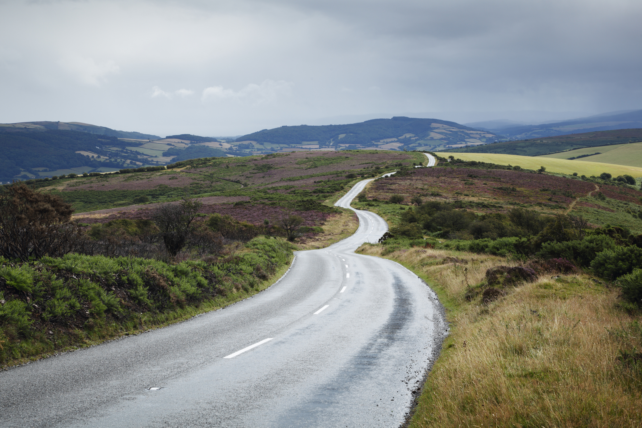 Empty road winding across moorland.