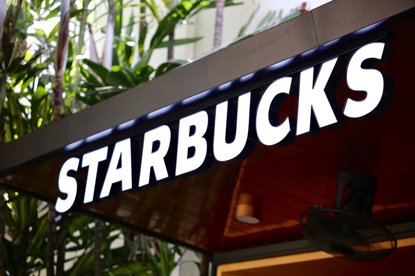 Starbucks stock, SBUX stock, coffee stocks