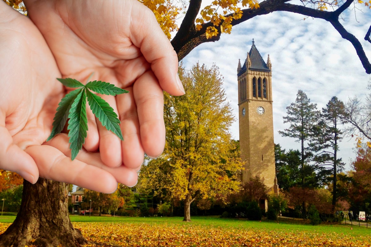 Iowa: Do The Senate Candidates Support Cannabis Legalization?