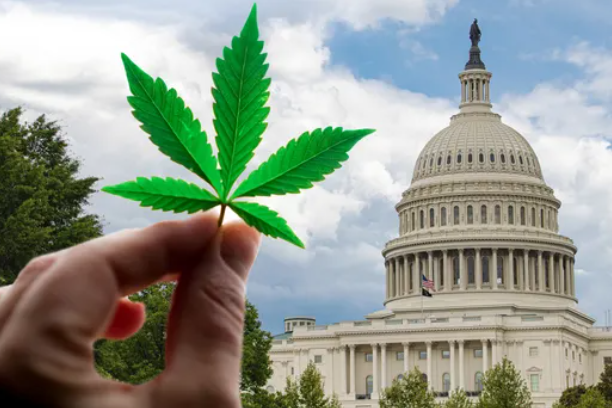 Senators Introduce Amendments For Medical Cannabis & Home Loan Benefits For Military Veterans