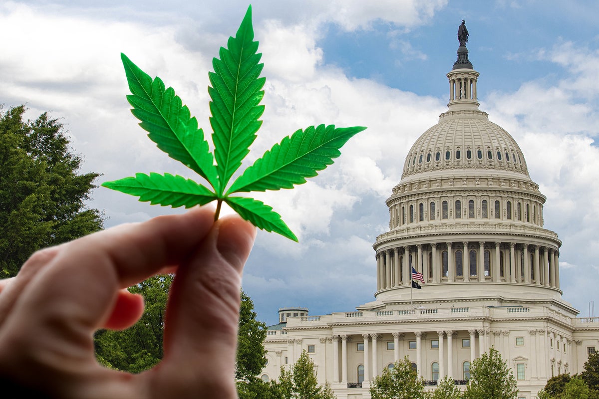 Drug Policy Alliance Responds To Biden's Pardoning All Fed Cannabis Offenses & Review Of Marijuana Scheduling
