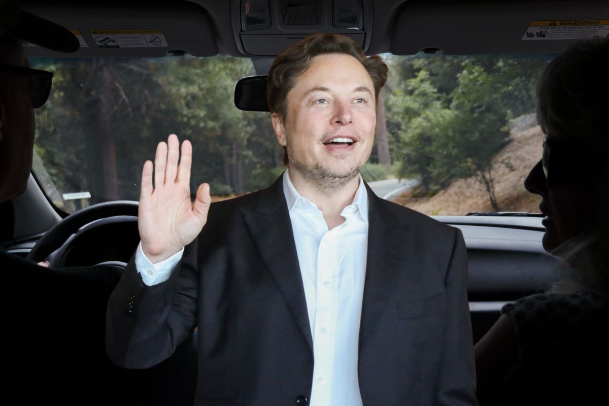 Woman Gets $5.2M Settlement In Lawsuit Over Contracting STD In Partner's Vehicle; Elon Musk Calls This 'Crazy' - Tesla (NASDAQ:TSLA)