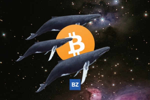 Anonymous Bitcoin Whale Just Moved $27M Worth Of BTC Off Bitfinex - Bitcoin (BTC/USD)