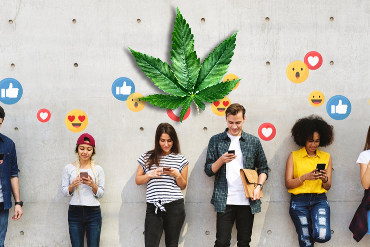 Connection Between Cannabis Social Media Sites And Youth Weed Consumption, New Study Takes A Look