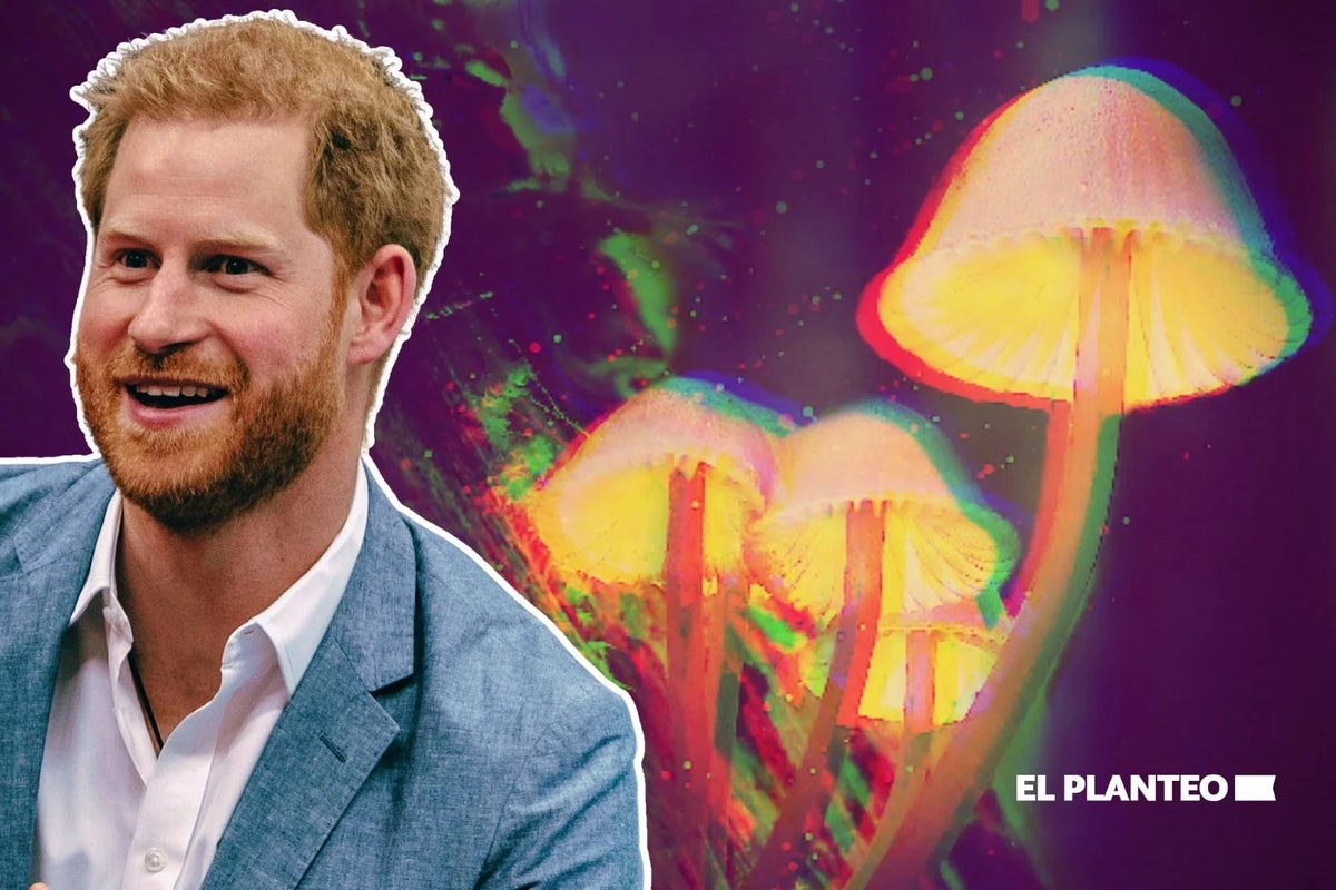 Prince Harry Says Cannabis Helped Him Cope With Mental Health Struggles & Ayahuasca Was A 'Release' - Zoom Video Comms (NASDAQ:ZM)