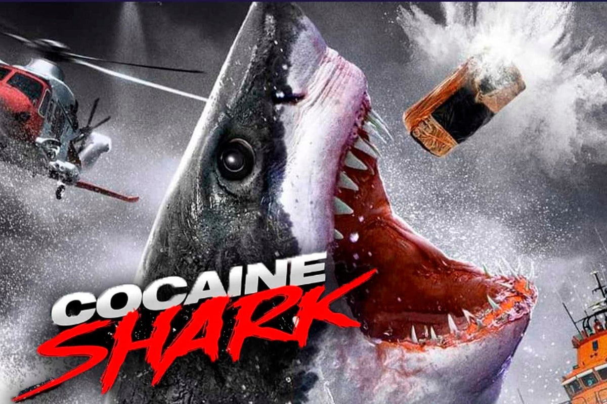 The Most Jaw-Dropping Trailer Of The Year: The Cocaine Shark Movie Is Here