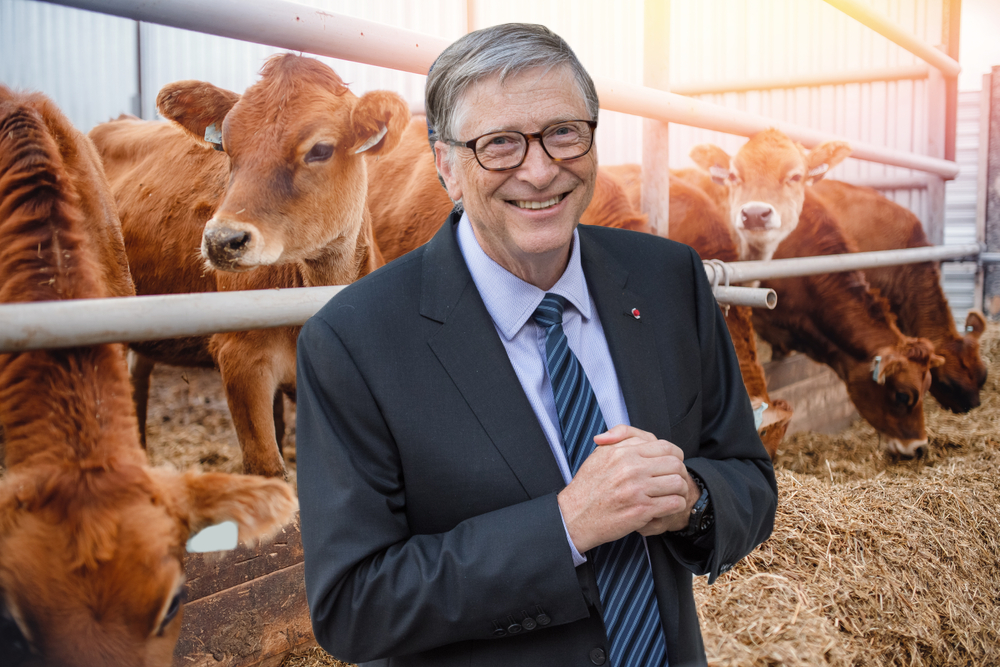 What is Bill Gates Up To? First U.S. Farmland, Now African Livestock Production