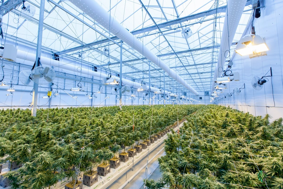 Agrify Announces Completion Of Total Turnkey Cultivation Facility Denver Greens Pending Final Inspection - Agrify (NASDAQ:AGFY)