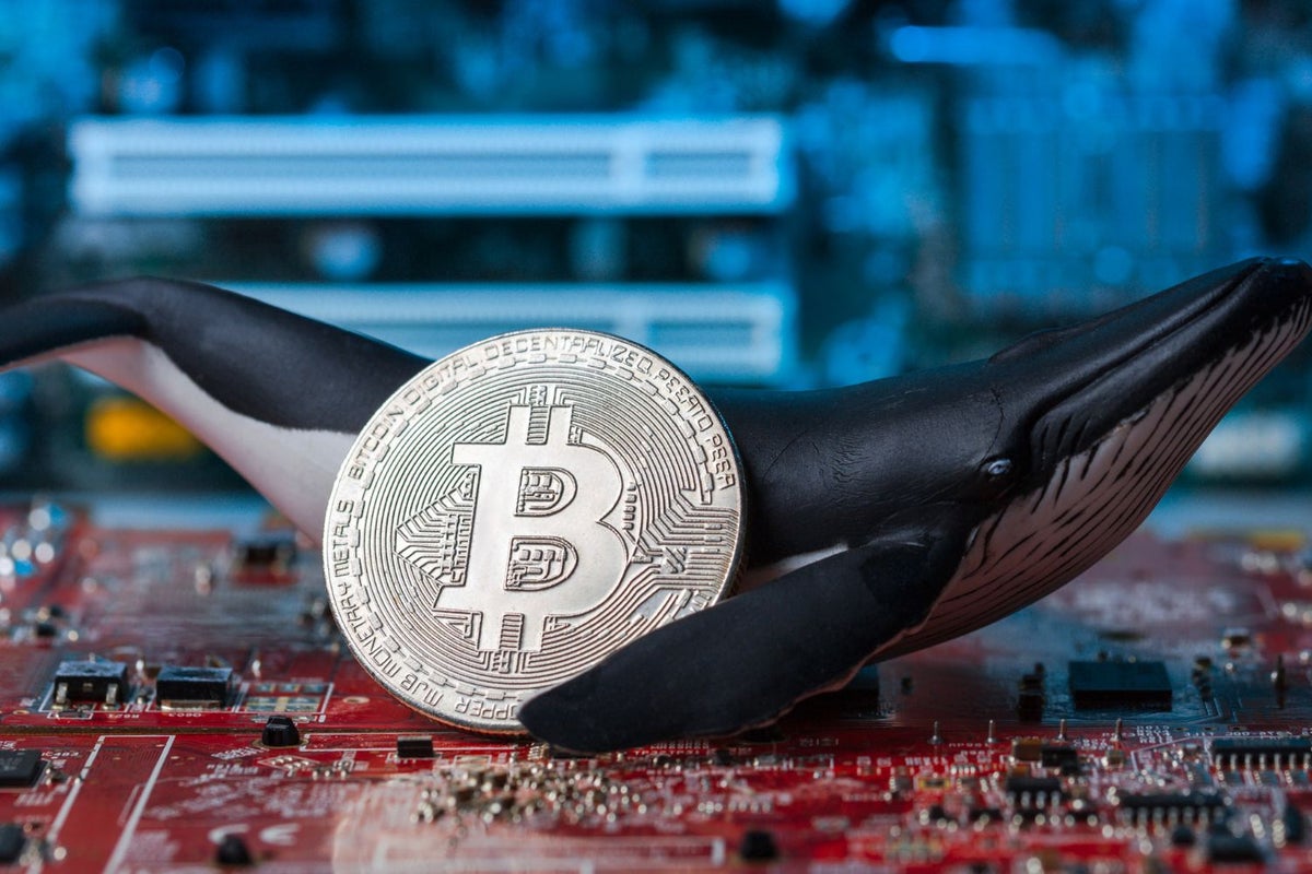 Crypto Whales Just Moved Over $850M In Bitcoin
