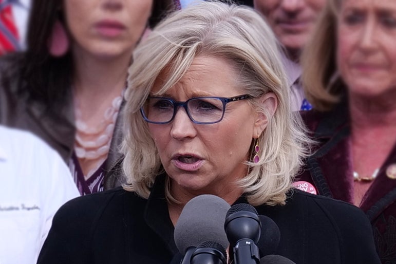 Trump A ‘Risk America Can Never Take Again,’ Says Liz Cheney