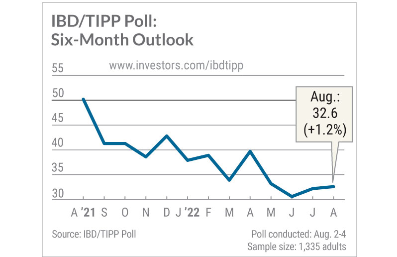 IBD Tipp poll six month outlook
