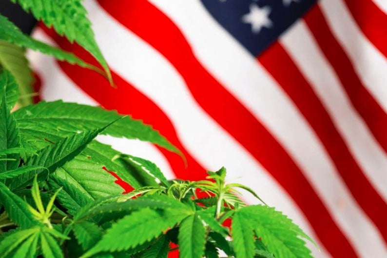 Federal Cannabis Scheduling Decision Expected 'This Year,' Says Biden's Health Secretary