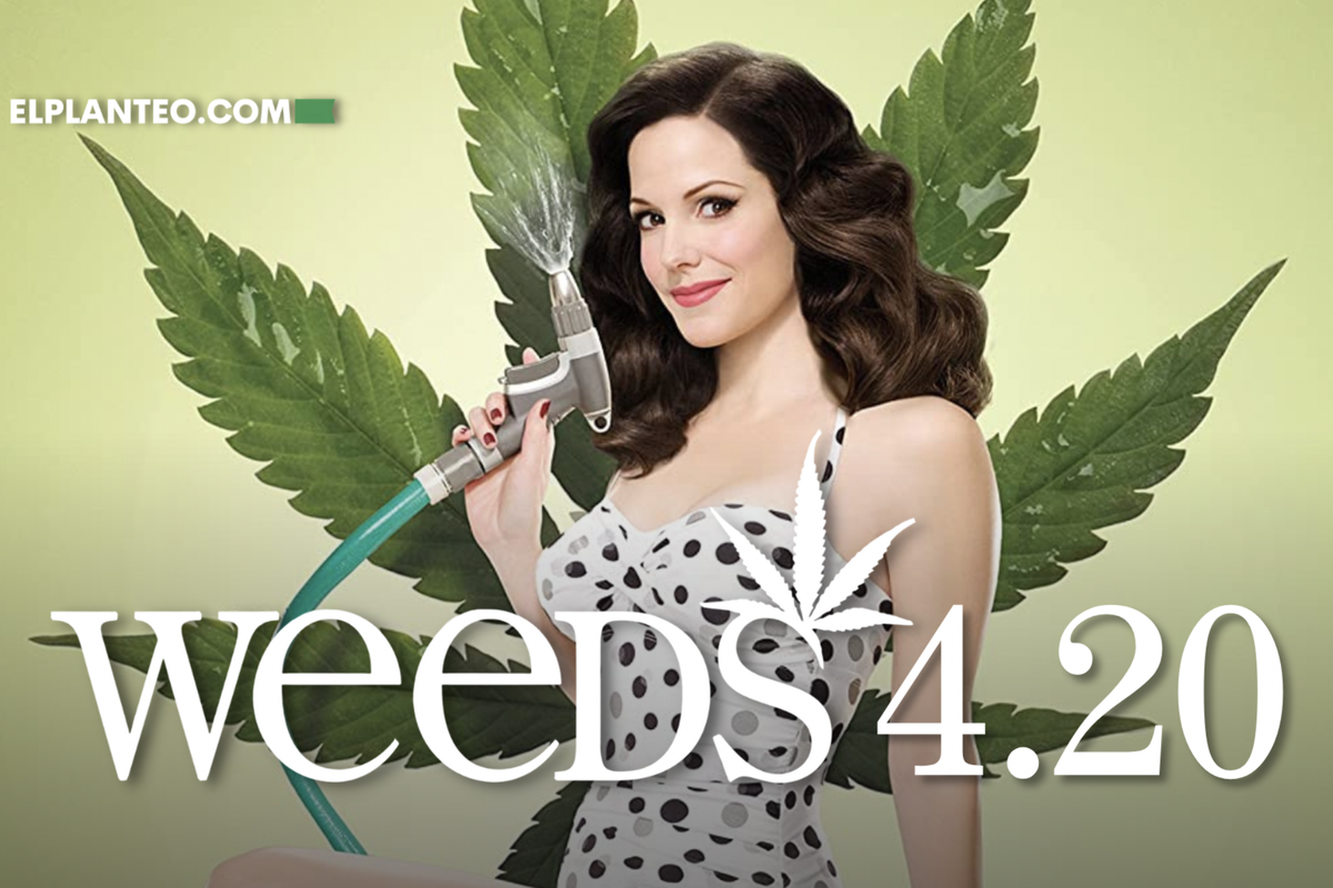 Iconic TV Series 'Weeds' Reportedly Returning With Exciting Sequel - And Mary Louise Parker