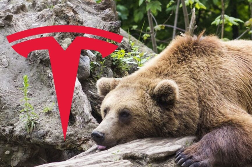 Tesla's Record Q2 Deliveries Will Send 'Bears Into Hibernation,' Says Analyst: 2 Reasons For The Outperformance - Tesla (NASDAQ:TSLA)