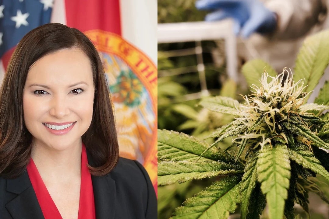 Florida Attorney General Implies Voters Are Not Too Bright, Deceived By 'Monopolistic' Weed Giant To Legalize Cannabis - Trulieve Cannabis (OTC:TCNNF)