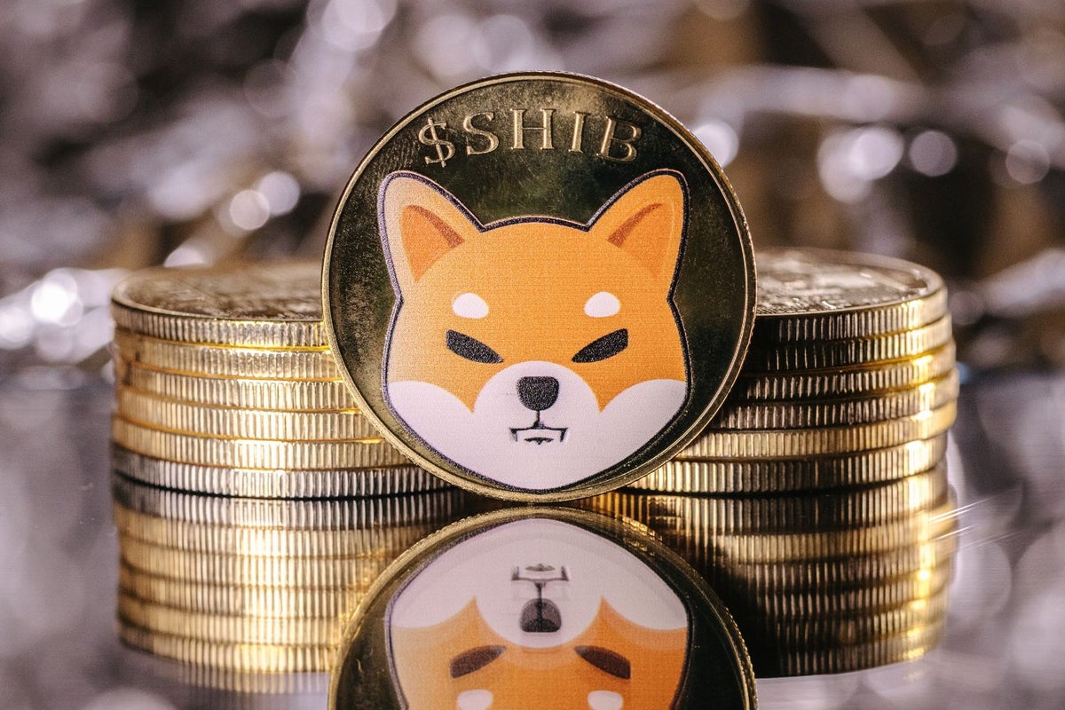 Shiba Inu, Dogecoin And Floki Set To Eclipse Bitcoin's Legacy After Market Chaos, Says Analytics Firm