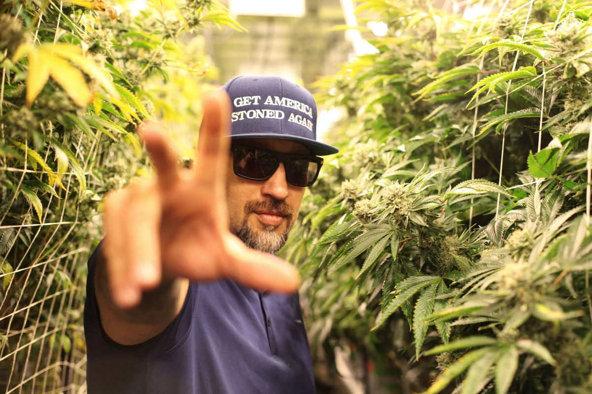 Cypress Hill's B Real Gets Mad: Cannabis Goldmine Choked By State Taxation