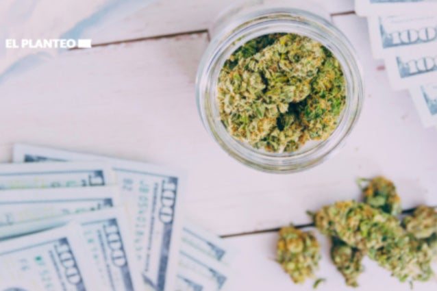 PBC Bridges The Gap: Launches Cannabis Banking Certification Amidst Rising Industry Demand