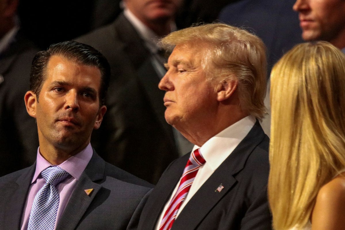 Trump's Niece Shares Why 'Donald Jr. Is Terrified Of His Father Losing This Election'