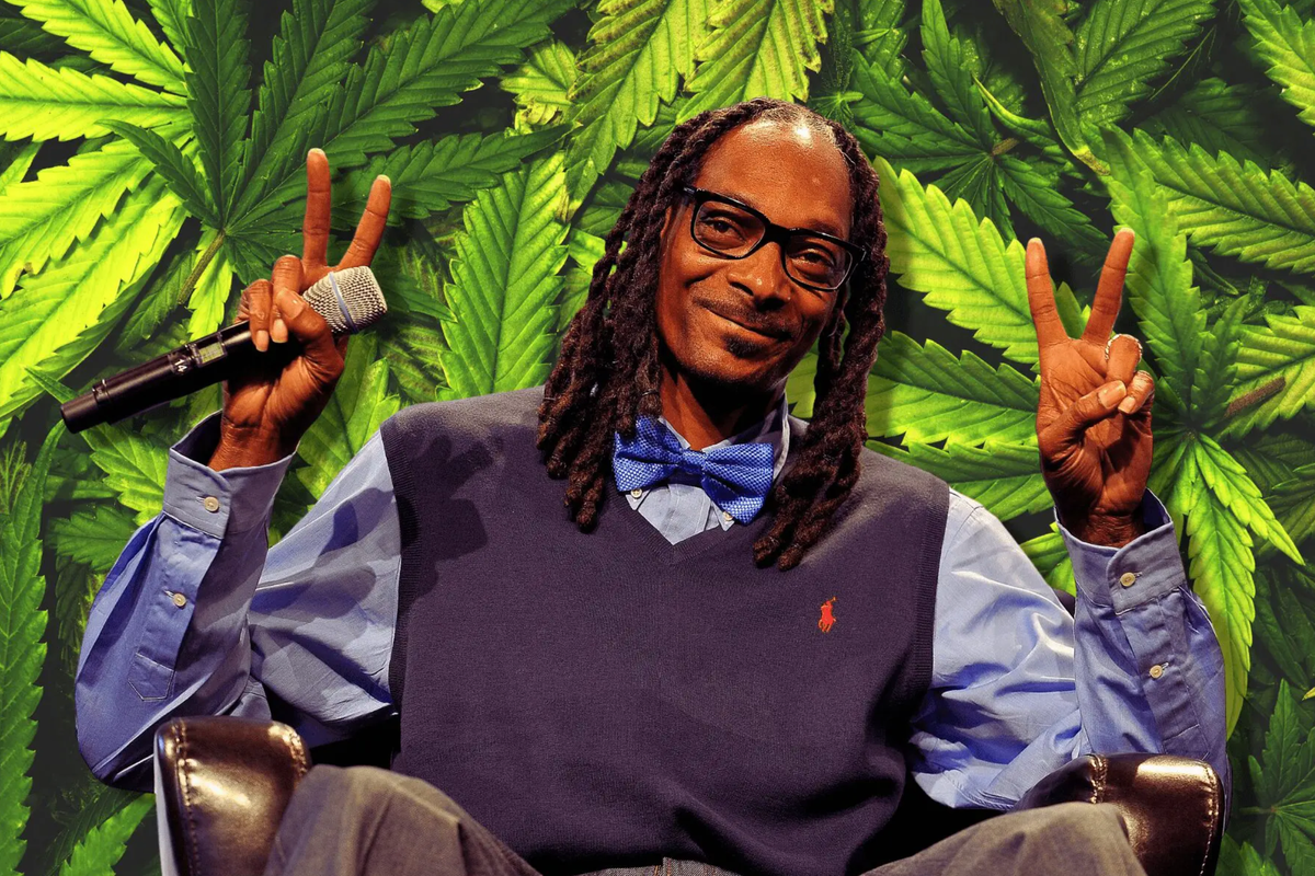 Study Shows Cannabis Consumers Are Successful, Motivated, Health-Conscious: Snoop Dogg Weighs In