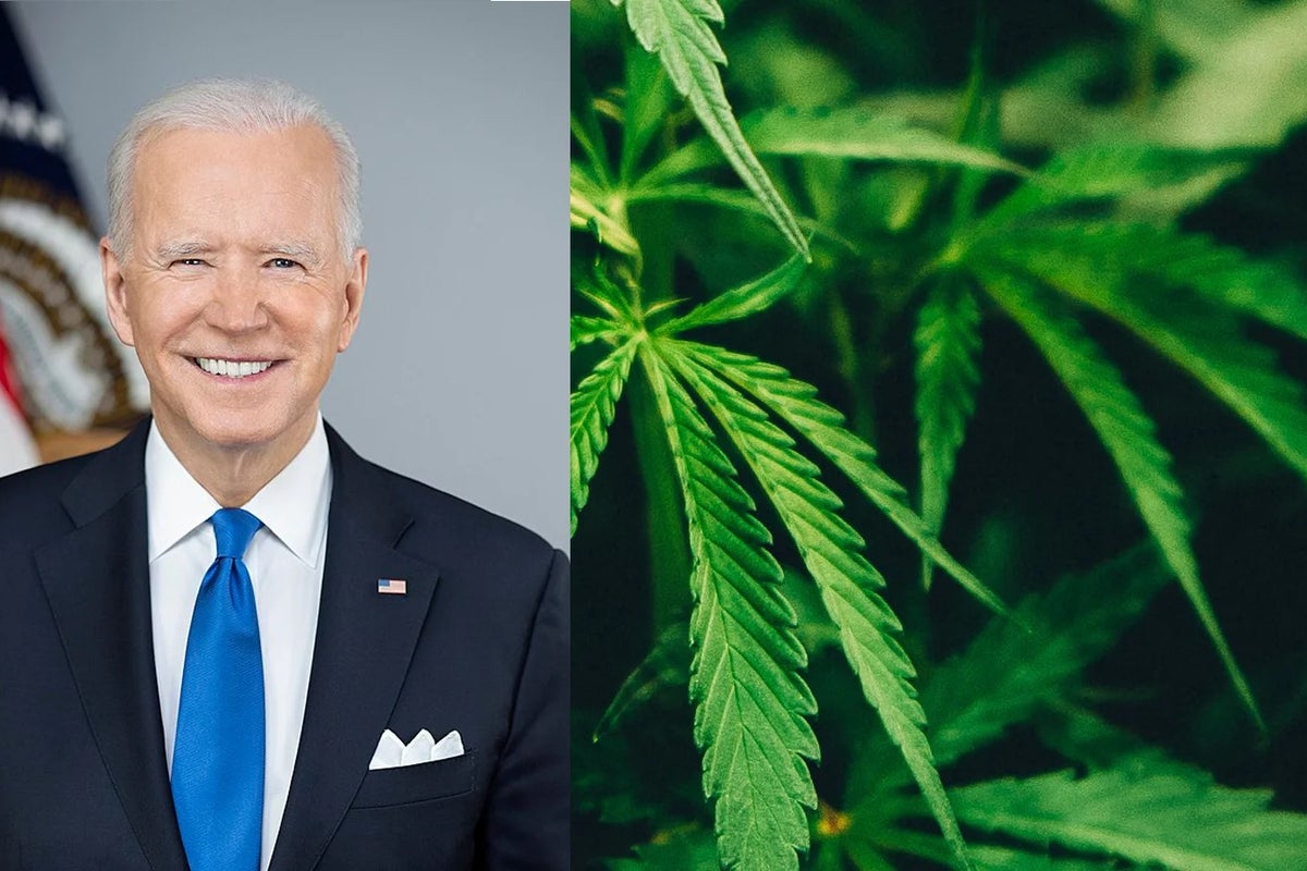 Biden Should Smoke Weed, Says Dem Challenger Dean Phillips, To Grasp Prohibition Hypocrisy
