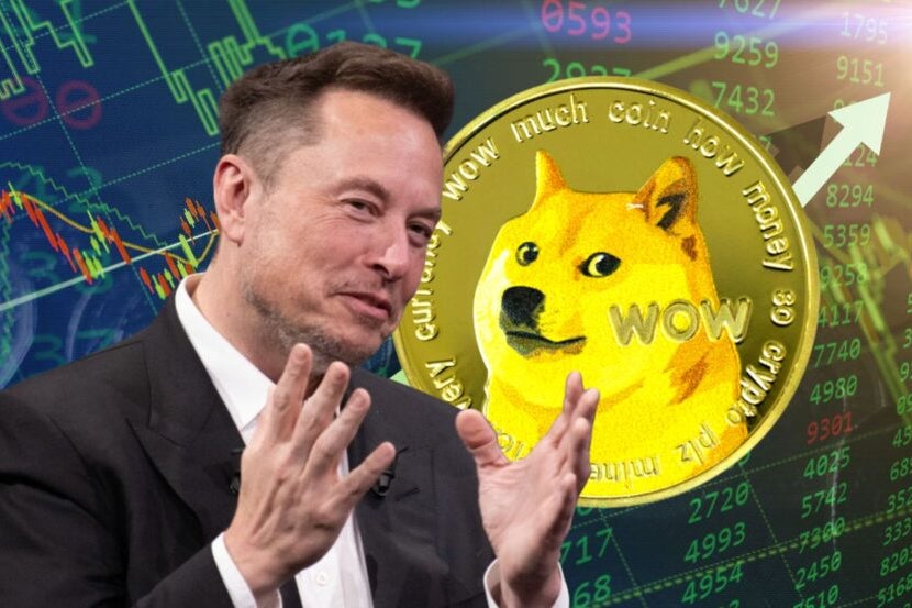 If You Invested $100 In Dogecoin When Elon Musk First Tweeted About The Crypto, Here's How Much You'd Have Today