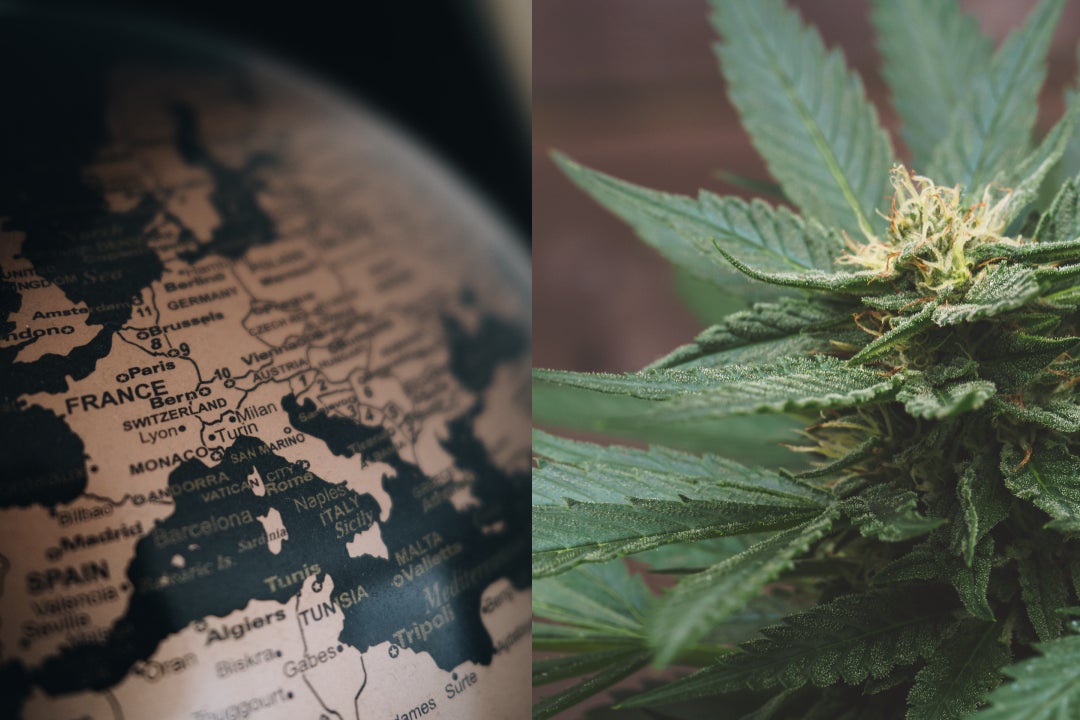 Euro Weed: Cathie Wood's Impact On Cannabis ETFs, UK's 'Save The Unicorn' MMJ Campaign And More - ARK Innovation ETF (ARCA:ARKK)