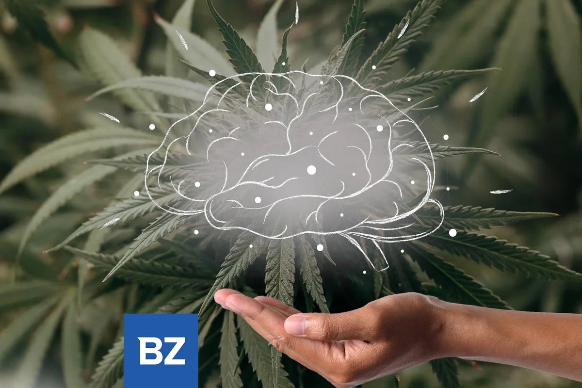 Cannabis And Memory: Uncovering The Intricate Connection And CBD's Surprising Role