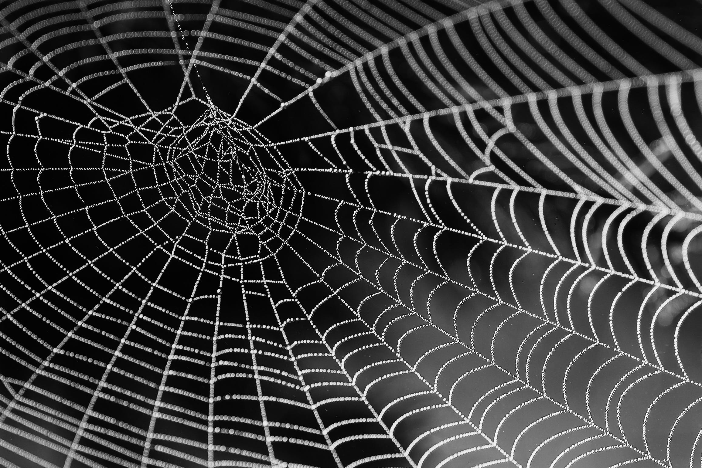 FBI exposes Scattered Spider's alliance with notorious ransomware gang