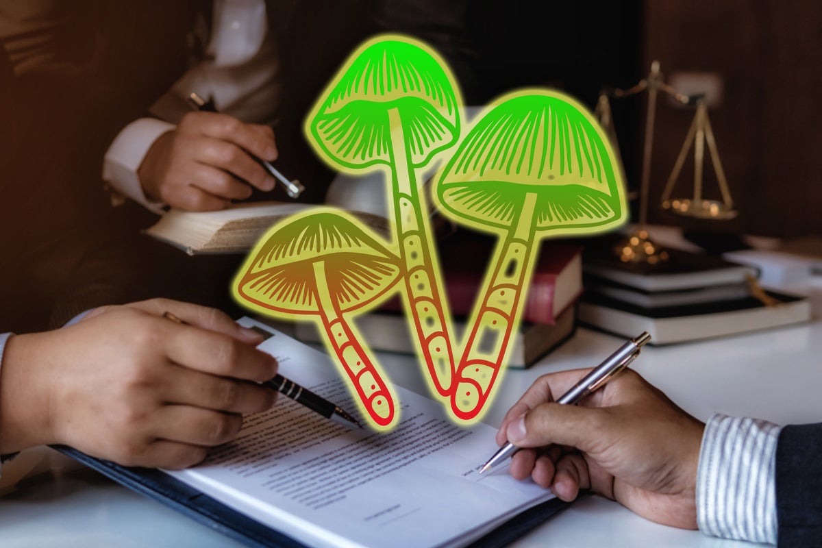 The Fate Of Psilocybin's Rescheduling Petition: DEA Retains Control As Federal Court Confirms Case Jurisdiction