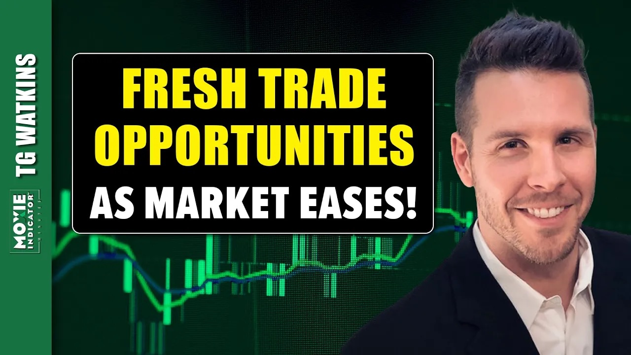 Fresh Trade Opportunities as Market Eases Up on the Reins! | Moxie Indicator Minutes