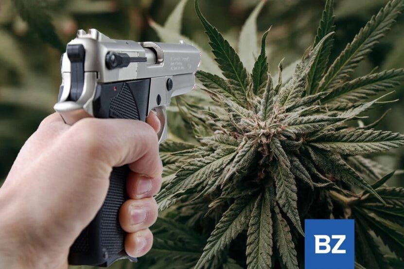 Guns And Weed Conflict Heats Up: Pennsylvania DA Sues Feds Over Firearms Ban For Medical Marijuana Patients