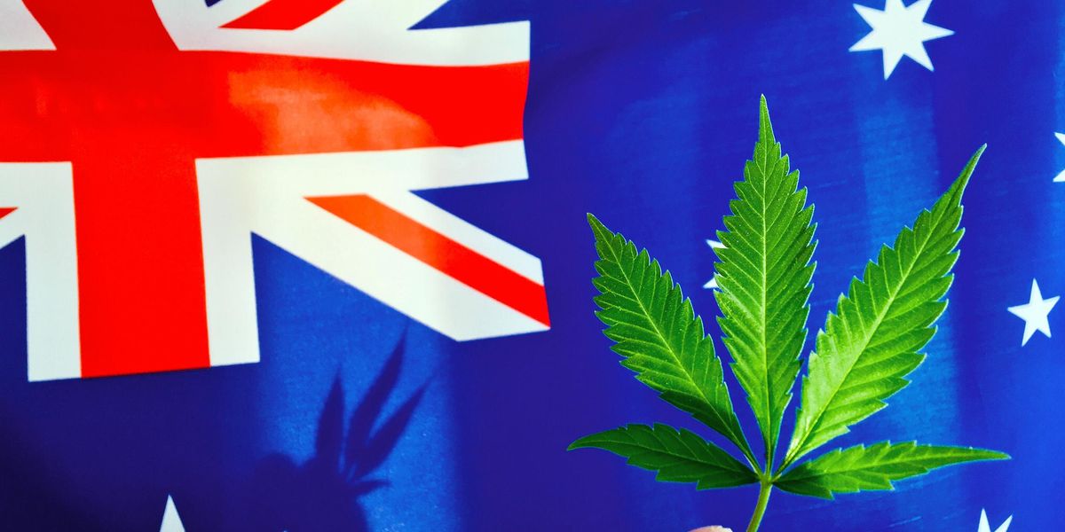 Australia Cannabis Market Forecast: Top Trends for 2023