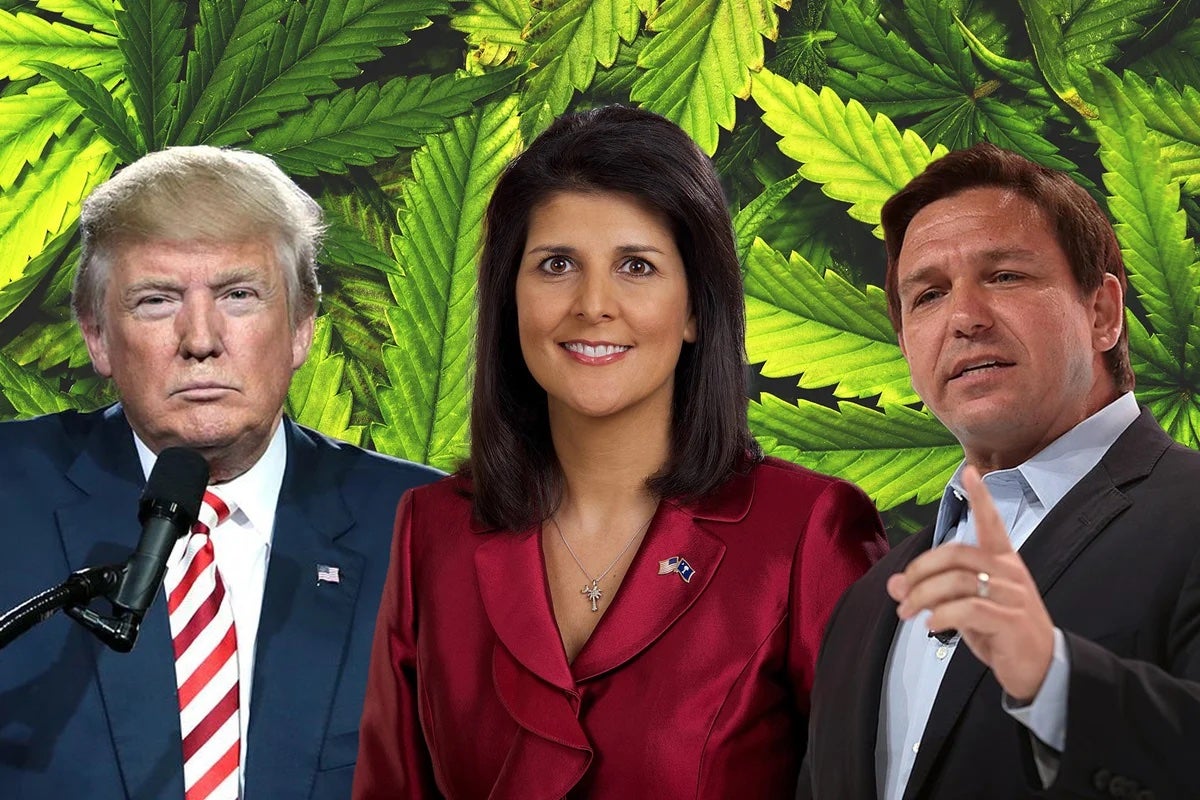 Donald Trump, Nikki Haley And Ron DeSantis: Where Do They Stand On Cannabis Legalization These Days?
