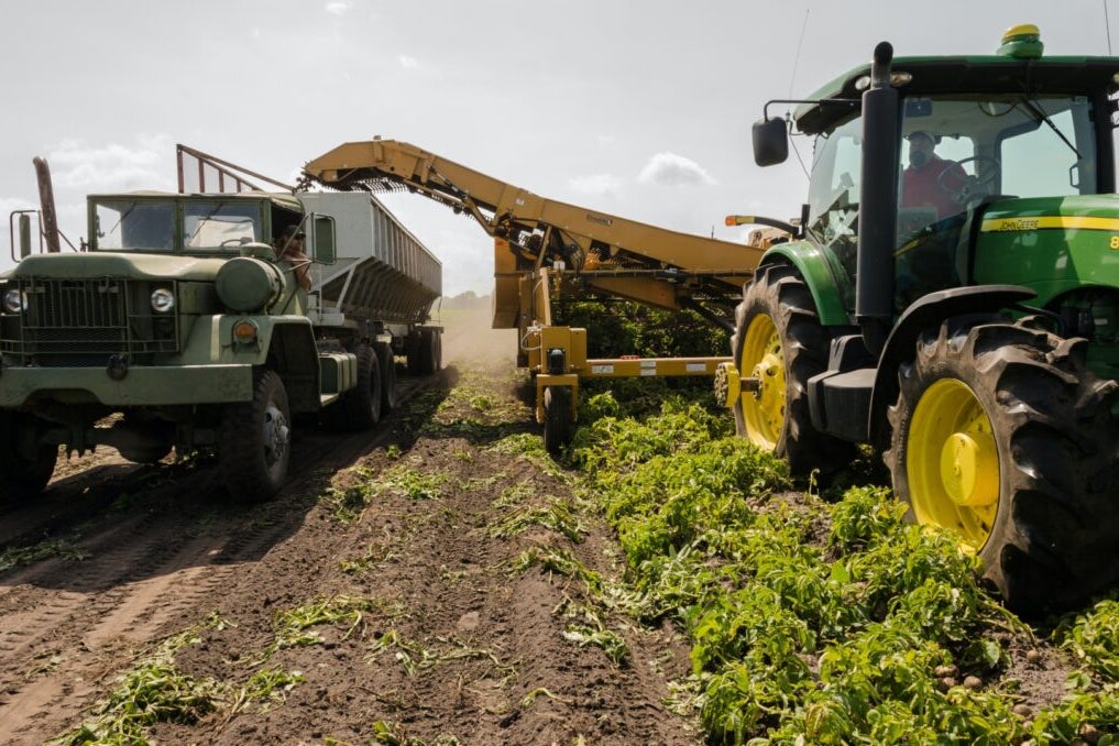 EU's Green Image Under Threat As Farmer Protests Force Climate Policy U-Turns